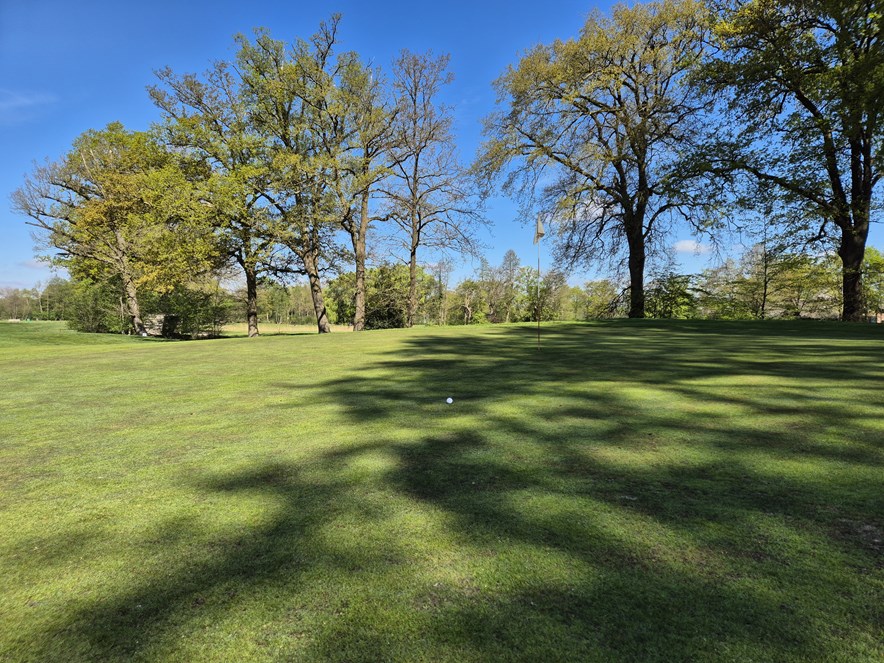Green hole 4 PW