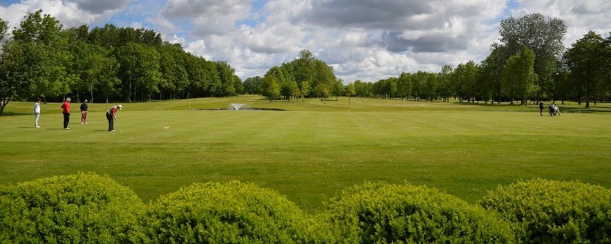 Grote green Grevelingenhout