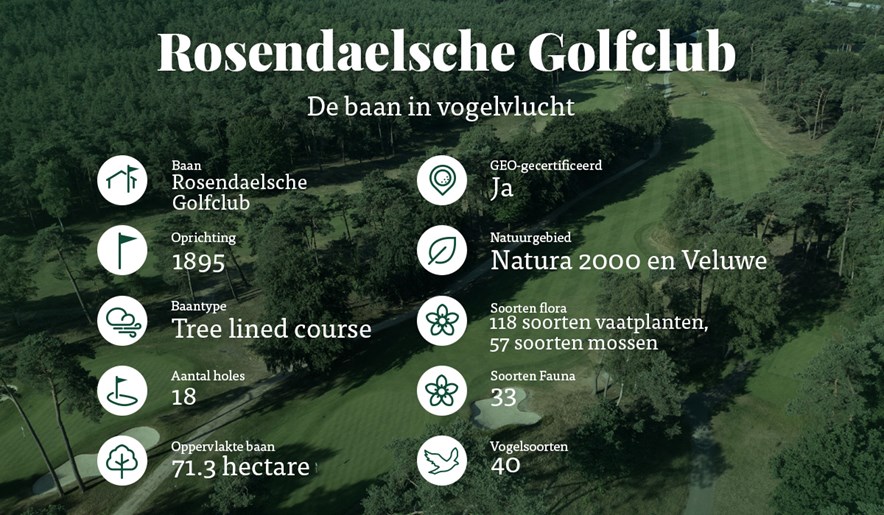 Baanoverzicht Rosendaelsche