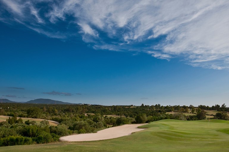 Golf Citrus